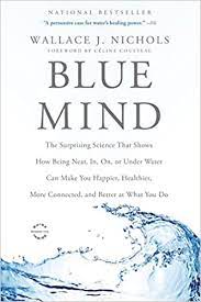 Blue Mind Cover